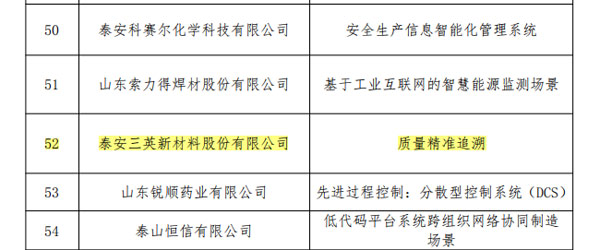 泰安三英新材料股份有限公司